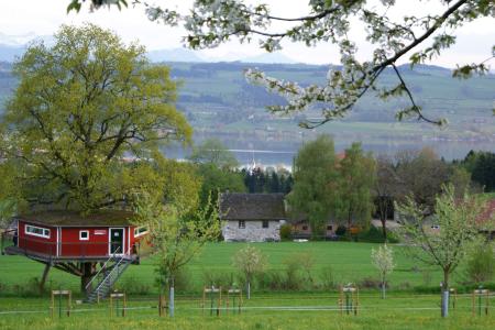 Frühling_Baumhaus 8.JPG
