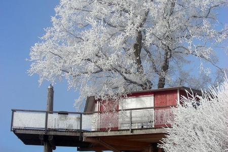 Winter_Baumhaus 1.jpg