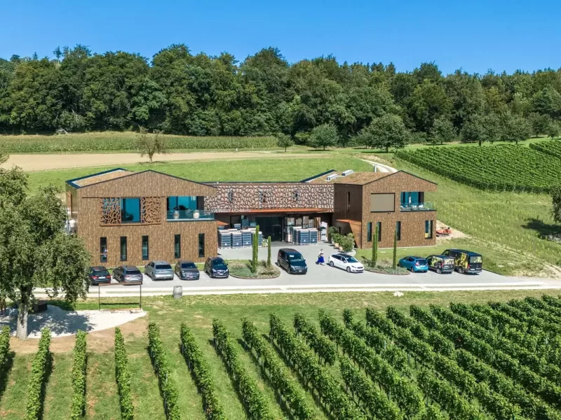 eichberg-weingut-brunner-weinmanufaktur-eich-25.webp