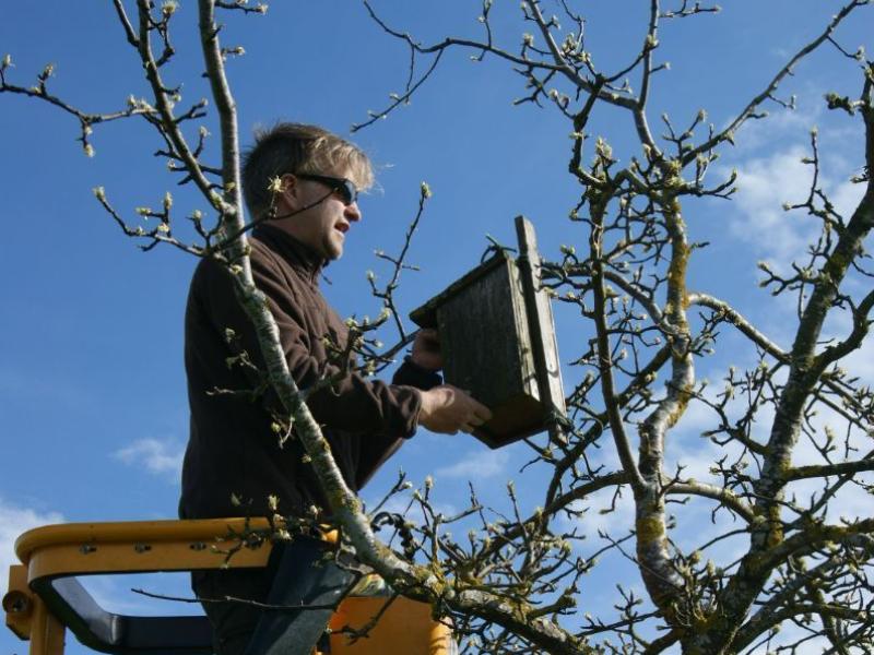 Vogelkasten montieren.JPG