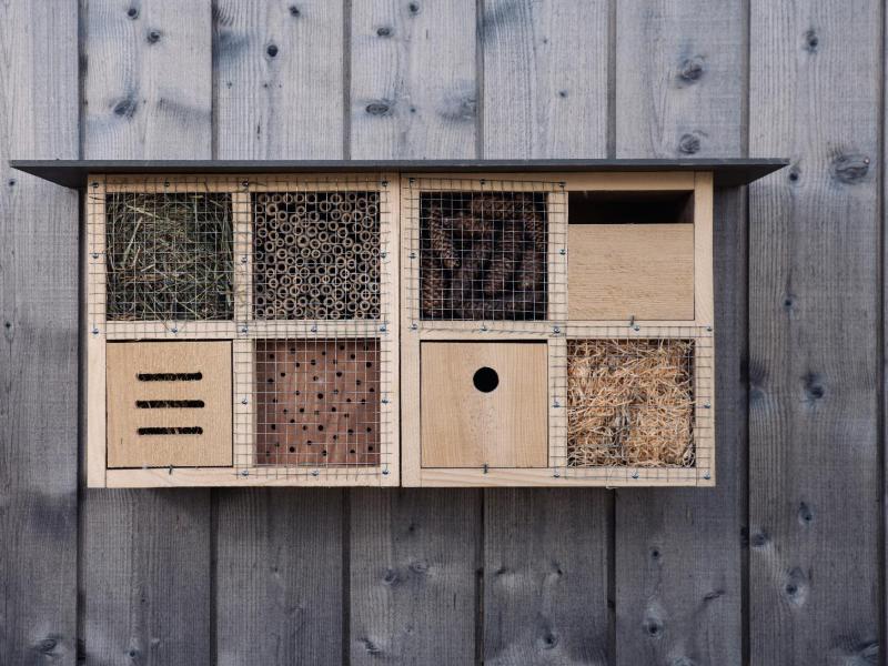 Lebensbox-Insektenhotel-Nisthilfe-Teamevent.jpg