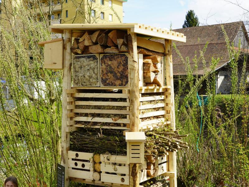 Lebensturm Arni April 2023 (6).JPG