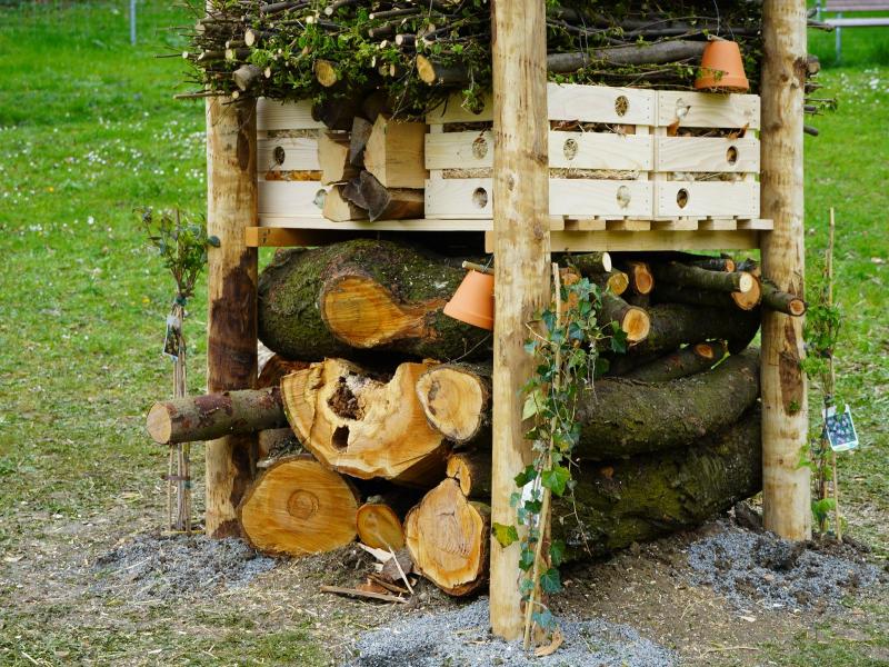 Lebensturm Sihltal April 2023 (8).JPG