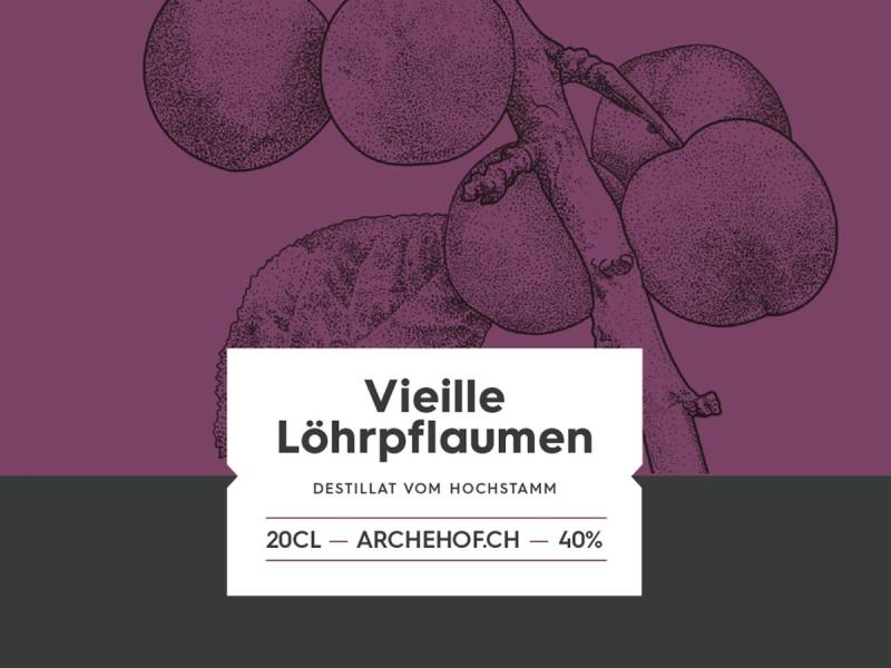 Löhrpflaume.jpg