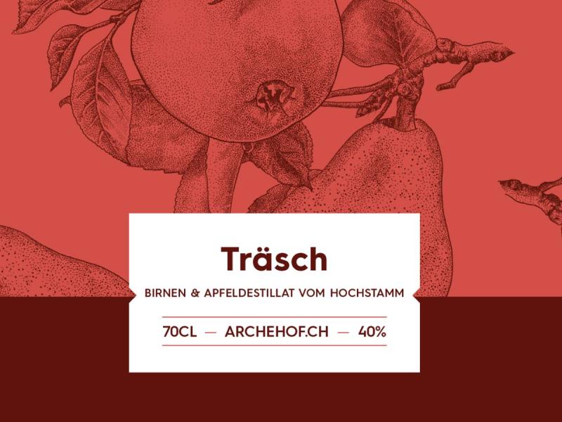 TRASCH_2000_1000_px_slides.jpg