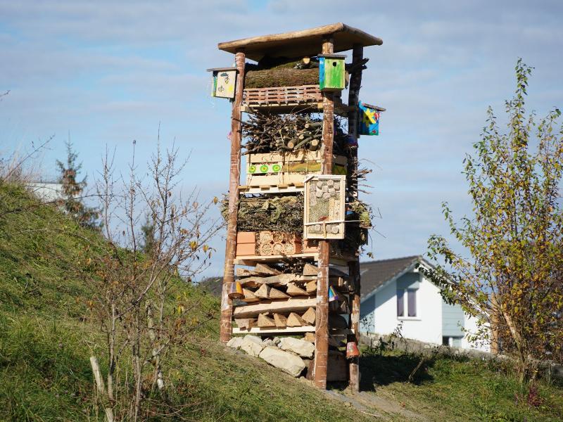 Schule Beromünster.JPG