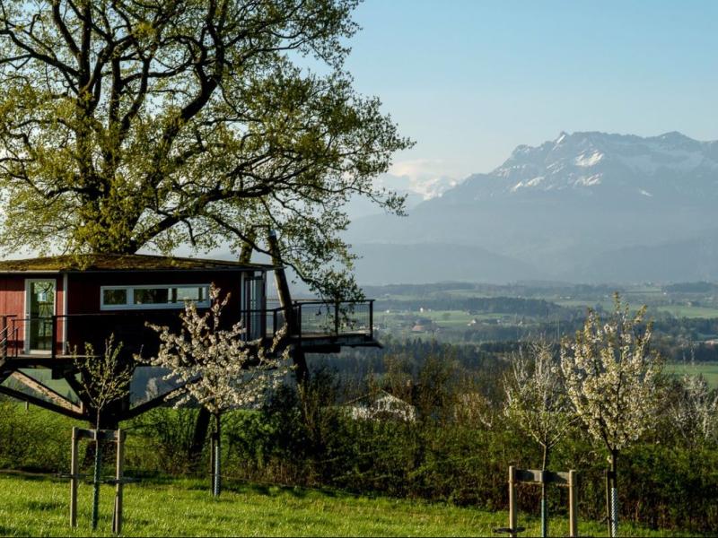 Baumhaus Frühling Archehof Neuhof