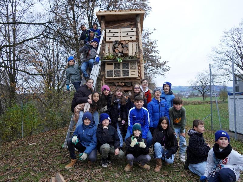 Lebensturm Zug Herti November 2023