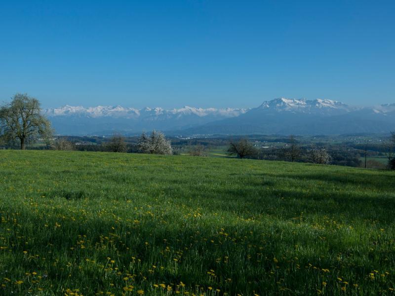 Panorama_Frühling_Berge (2).jpg